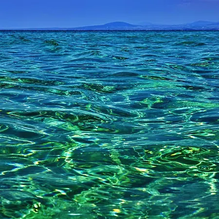 Vintage In Halkidiki *