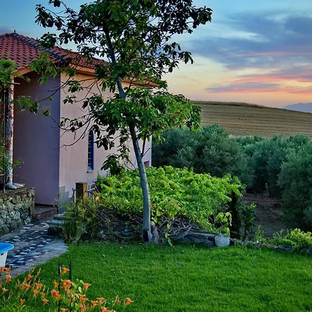 Vintage In Halkidiki Holiday home Nea Fokea