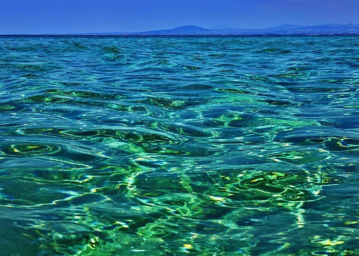 Vintage In Halkidiki *