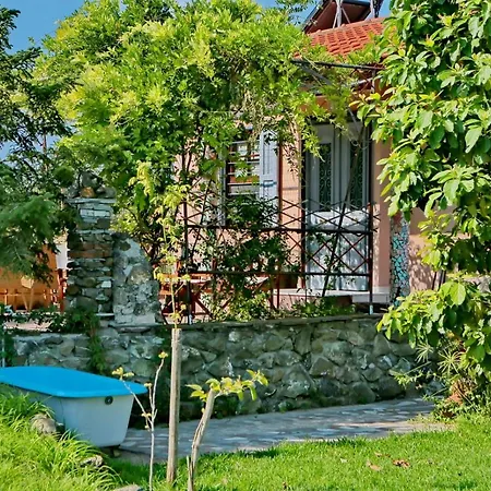 Vintage In Halkidiki Nyaraló