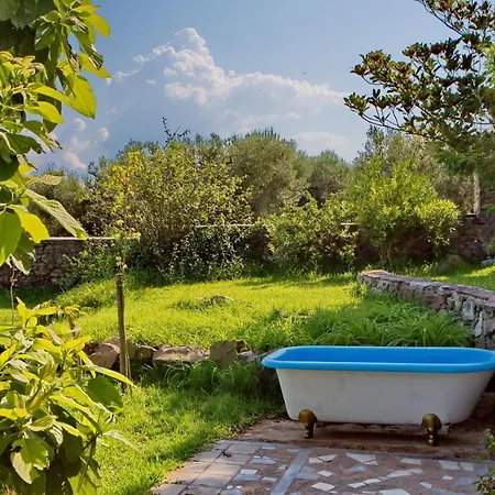 Vintage In Halkidiki 펜션 Néa Fókaia