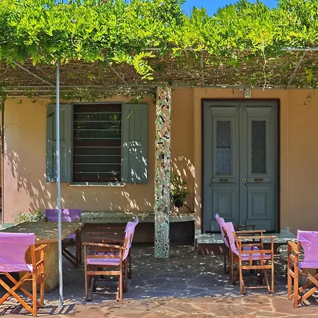 Vintage In Halkidiki * Néa Fókaia