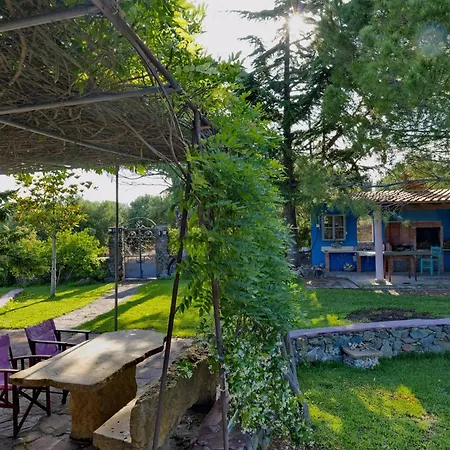 Vintage In Halkidiki 펜션 Néa Fókaia