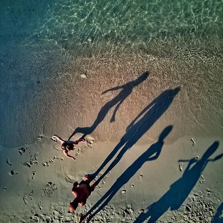 Vintage In Halkidiki *